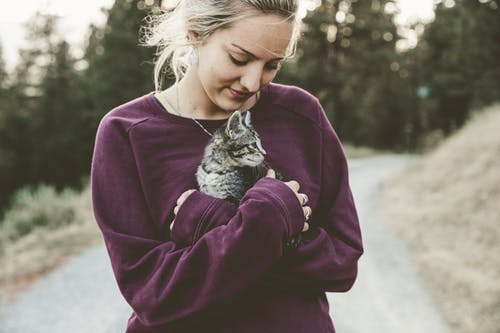 5 Tips for Travelling with Your Cat